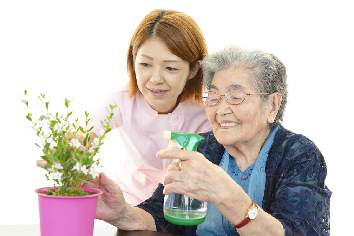 Elderly Care in Los Osos CA: Senior House Plants Benefits